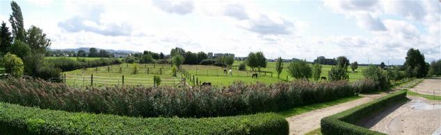 Blick über die weitläufigen grünen Koppeln der RG Bensheim