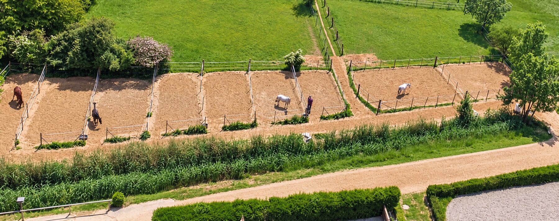 Paddocks von oben