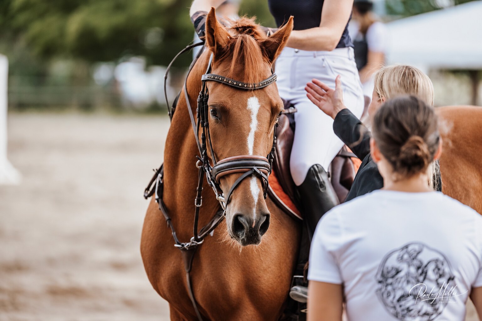 Lehrpferd mit Reiterin und Begleitung auf dem Reitplatz